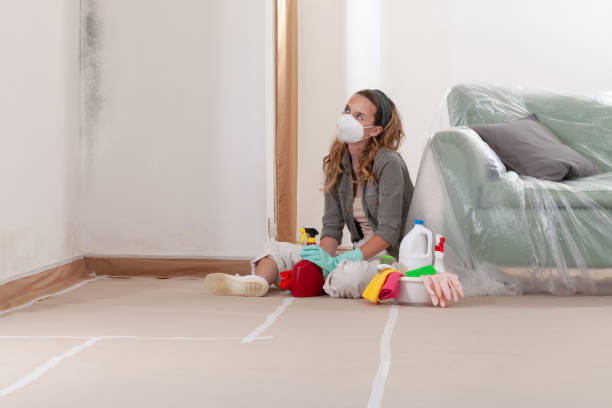 Reliable Mold Cleanup contractor in North Arlington, NJ by WQB Mold Removal